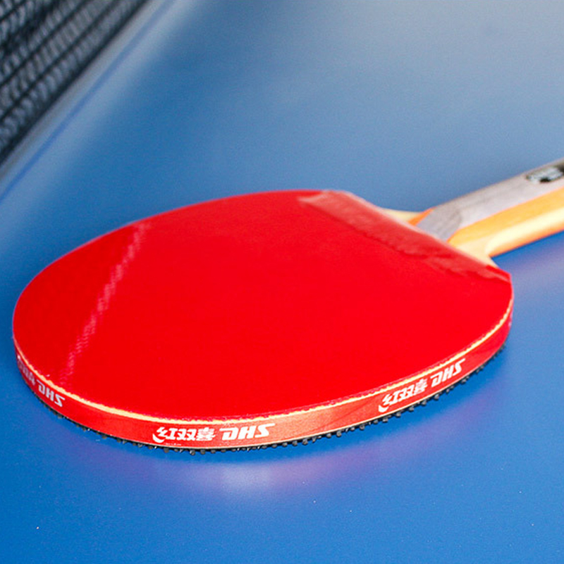 DHS zelfklevende Tafeltennis R - Table Tennis Joola recensie en prijs